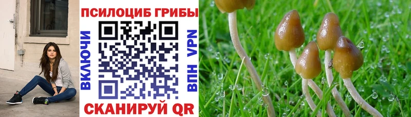 ОМГ ОМГ ТОР Саянск Галлюциногенные грибы прущие грибы